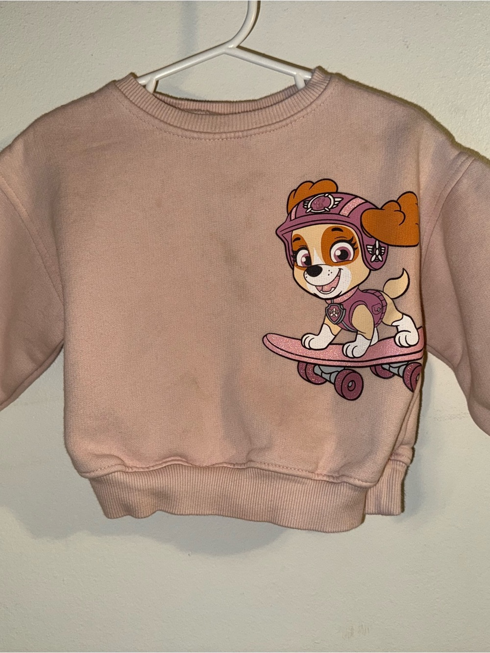Zara Light Pink Paw Patrol Skate Pup Sweatshirt